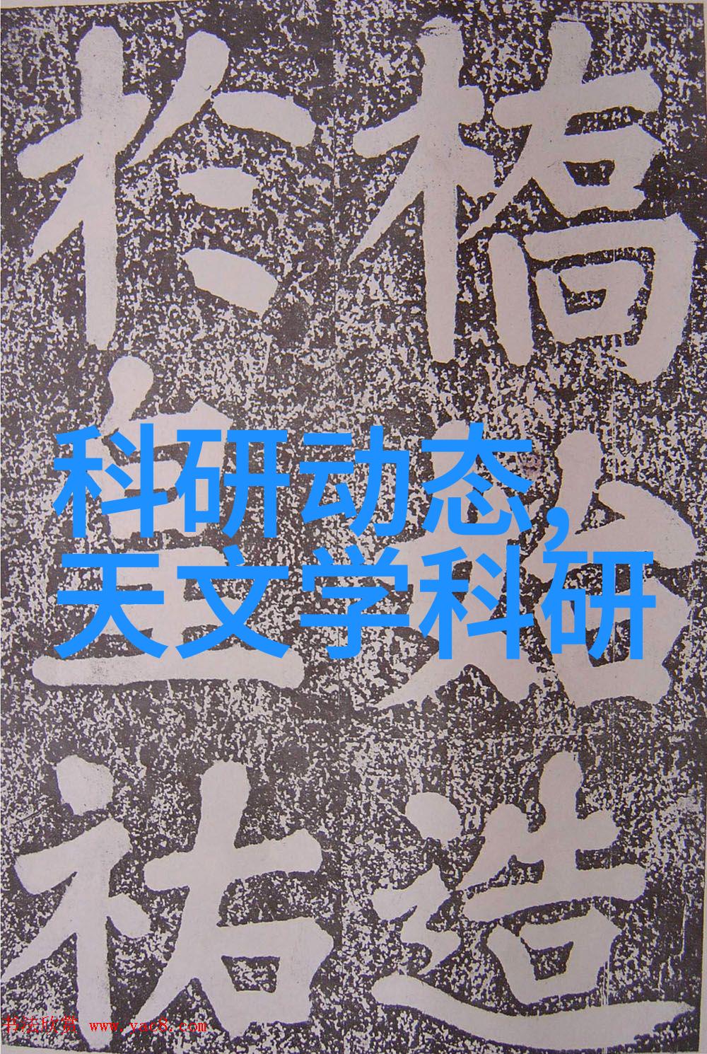 探秘鲍尔环与规整填料何种神秘力量能使混乱世界重获和谐