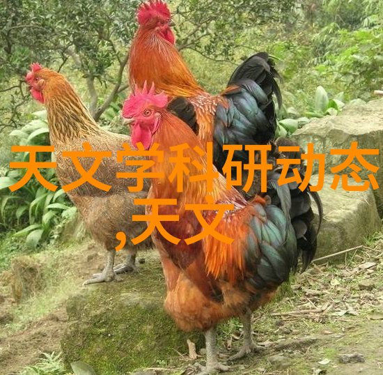 附近不锈钢板材批发-邻近地区不锈钢板材大规模批发市场探索