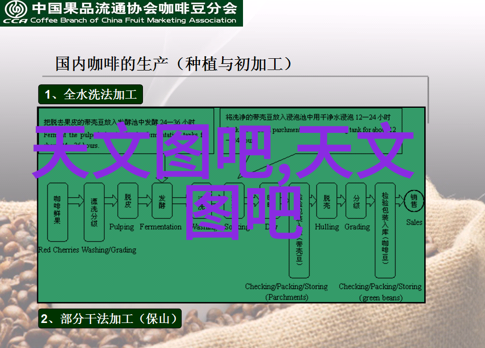 智慧之光与机器的节拍
