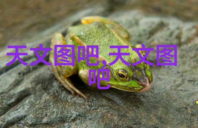 饮料灌装机械流线型生产力与清晰的包装未来