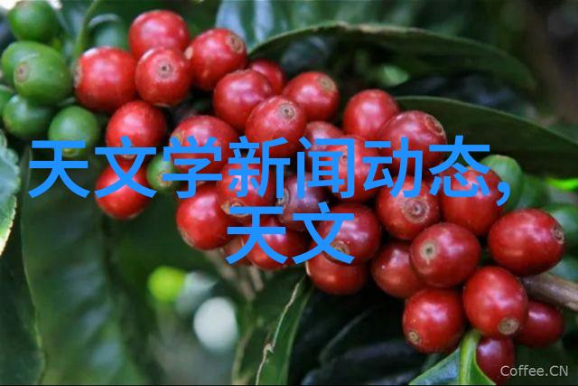 科学评价研究院引领学术标准与创新驱动的智库