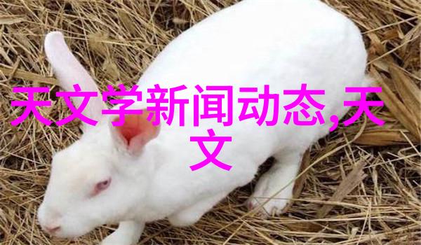 在教育环境中为什么要教授学生如何正确操作和维护反应罐