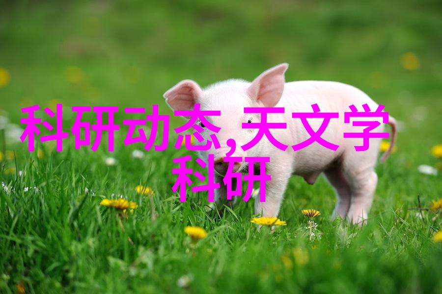 如何选择合适的滚筒干燥设备型号