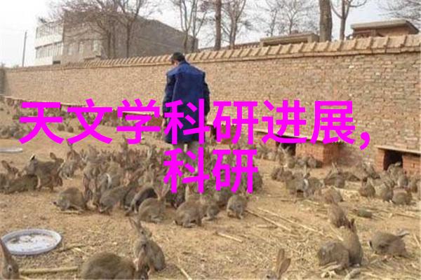 臭氧发生器厂家专注于空气净化与水处理技术的领先供应商