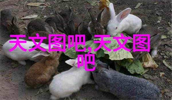 内科医生她真不是沙雕我身边的默默无闻英雄一位内科医生的故事