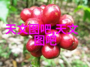 灭菌设备验证指南 - 确保安全完善的灭菌设备验证流程