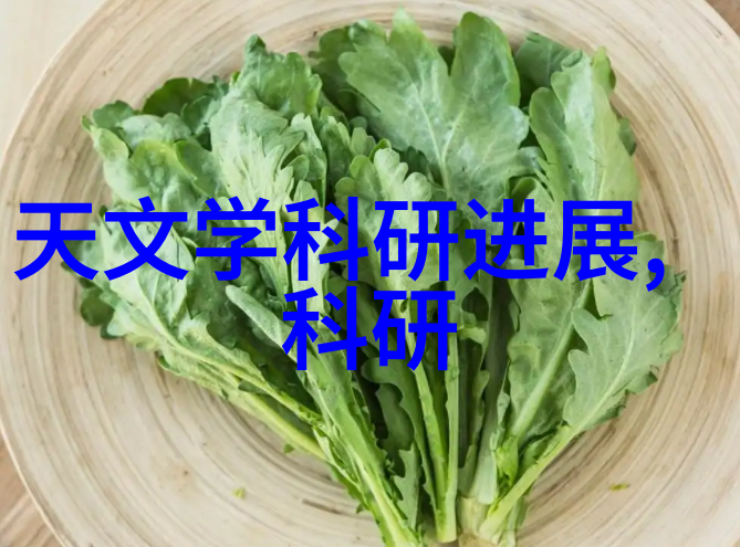 浙江财经大学东方学院金陵之光学术的瑰宝