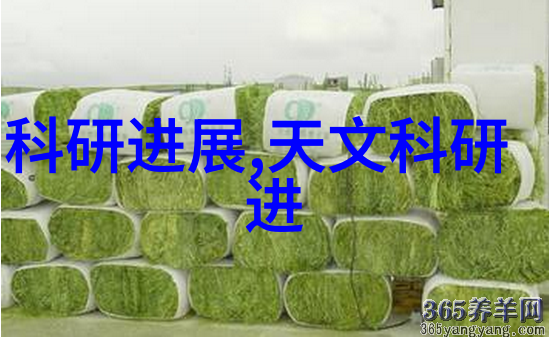 树脂井盖我的小伙伴在雨天的守护者