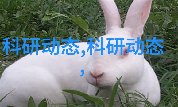 软化水设备厂家专注提供高效清洁生活用水解决方案