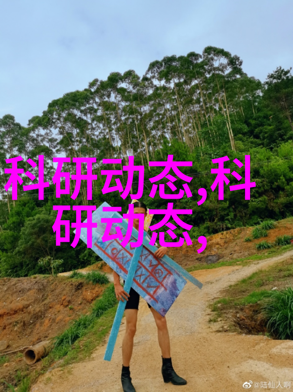 高效除盐的双级反渗透水处理系统技术革新