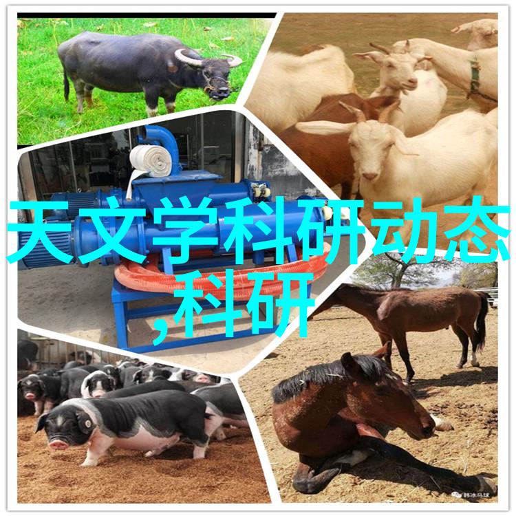 机电一体化大专毕业生在社会的无刷电机应用中探索新路径