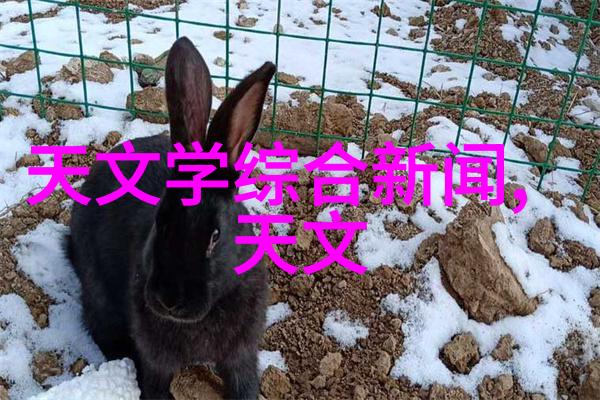 学校的饮水安全新篇章大型净水机设备的引入与实践