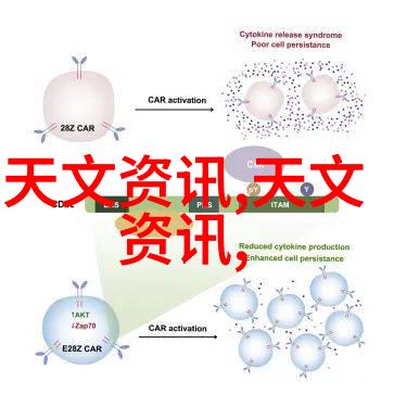 厨房装修先后顺序-从规划到完工一个细致的步骤指南