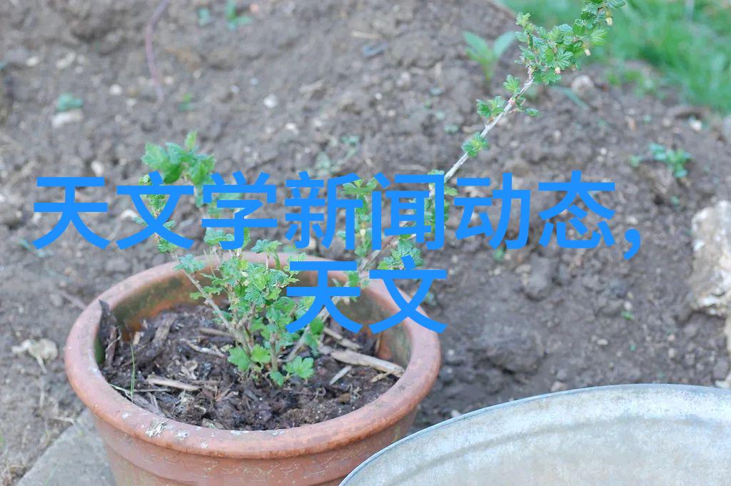 竣工验收报告详细工程检查记录