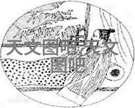 矩鞍环填料规格型号解析与选择指南