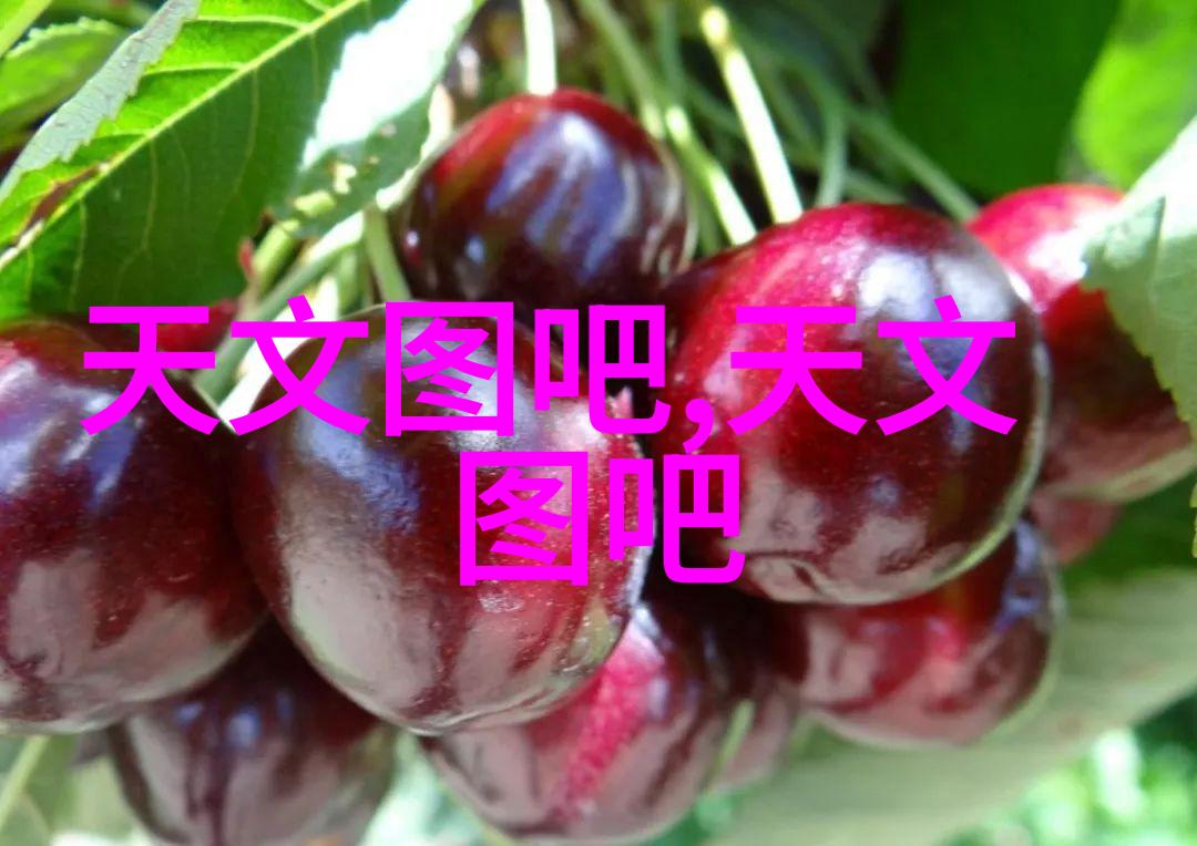 西安智能公交系统实施过程中遇到了哪些技术难题