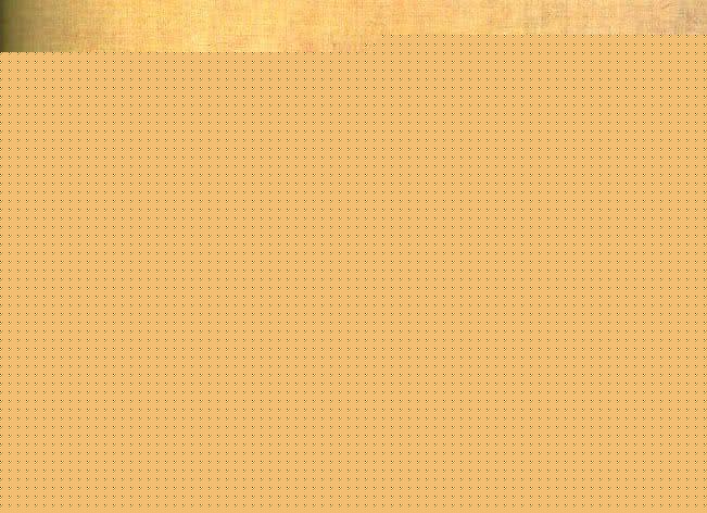 乱堆填料与规整填料特点土木工程中混凝土基础材料的使用技巧