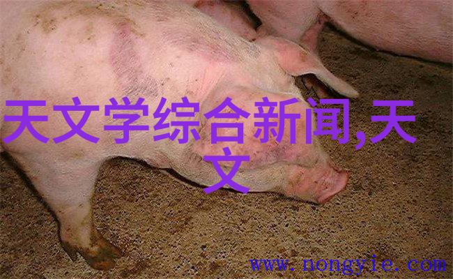 发生装置和反应装置图片化学实验室的精彩瞬间