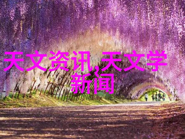 集成灶如同厨房的灵魂市场热潮背后是对消费者需求深刻洞察的智慧同样厨卫厂家的电话号码就像是一张通往产品