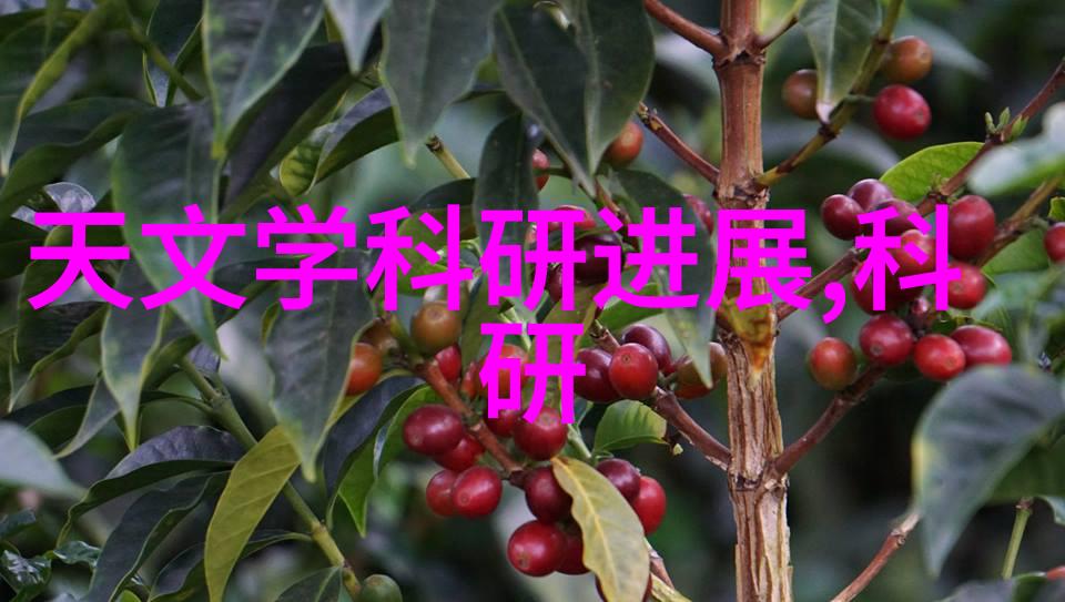 揭秘下水道之谜一探究竟的奇妙旅程
