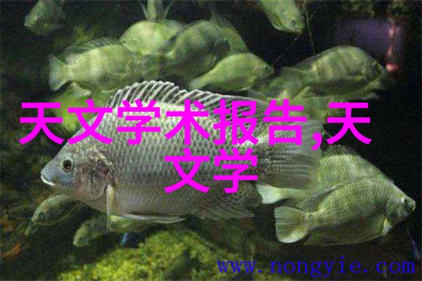 法相仙途穿越千年重现幻境