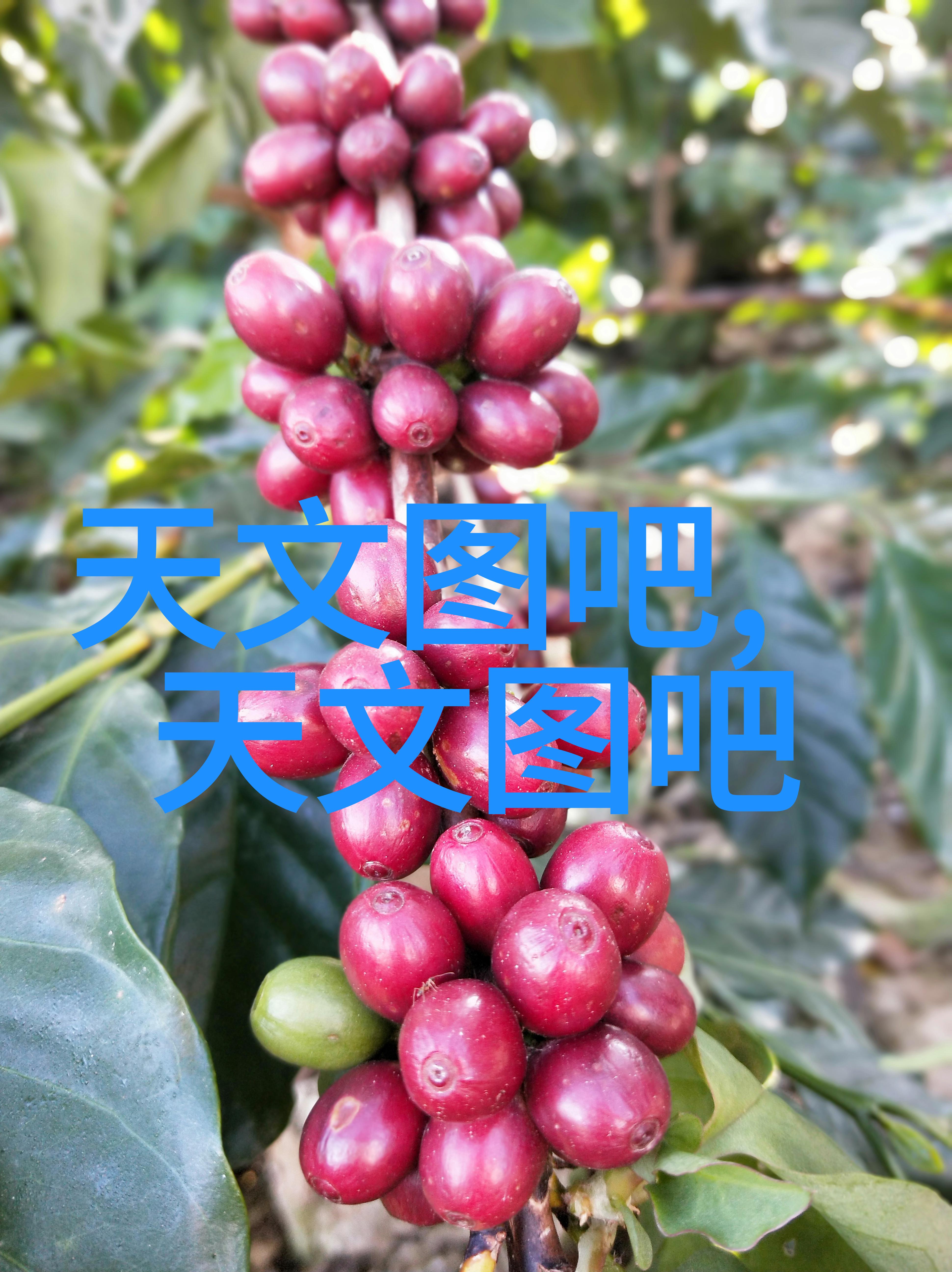 现代简约客厅