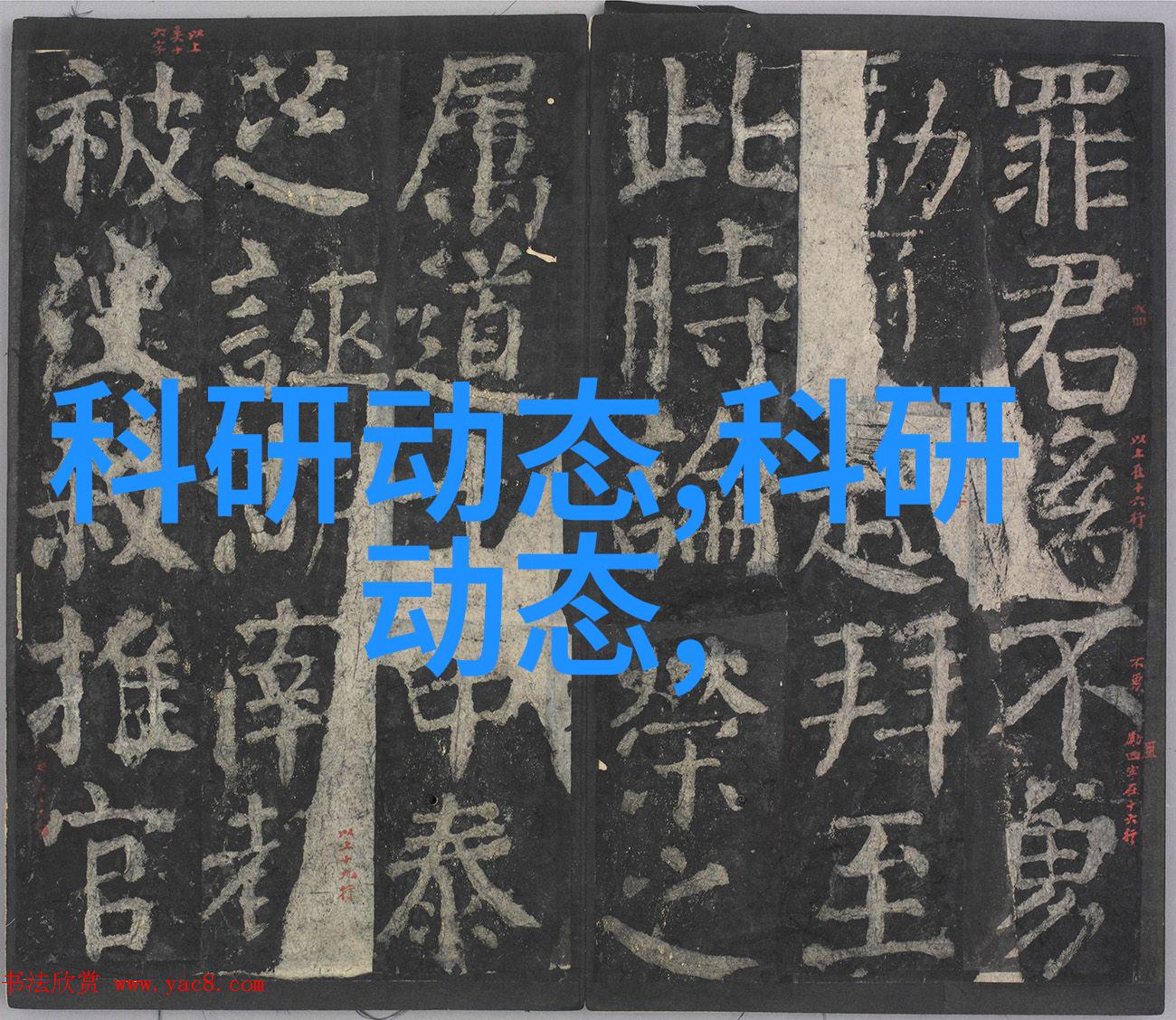 入禽太深全文无删减版网盘-探秘入禽太深揭开网络小说未解之谜