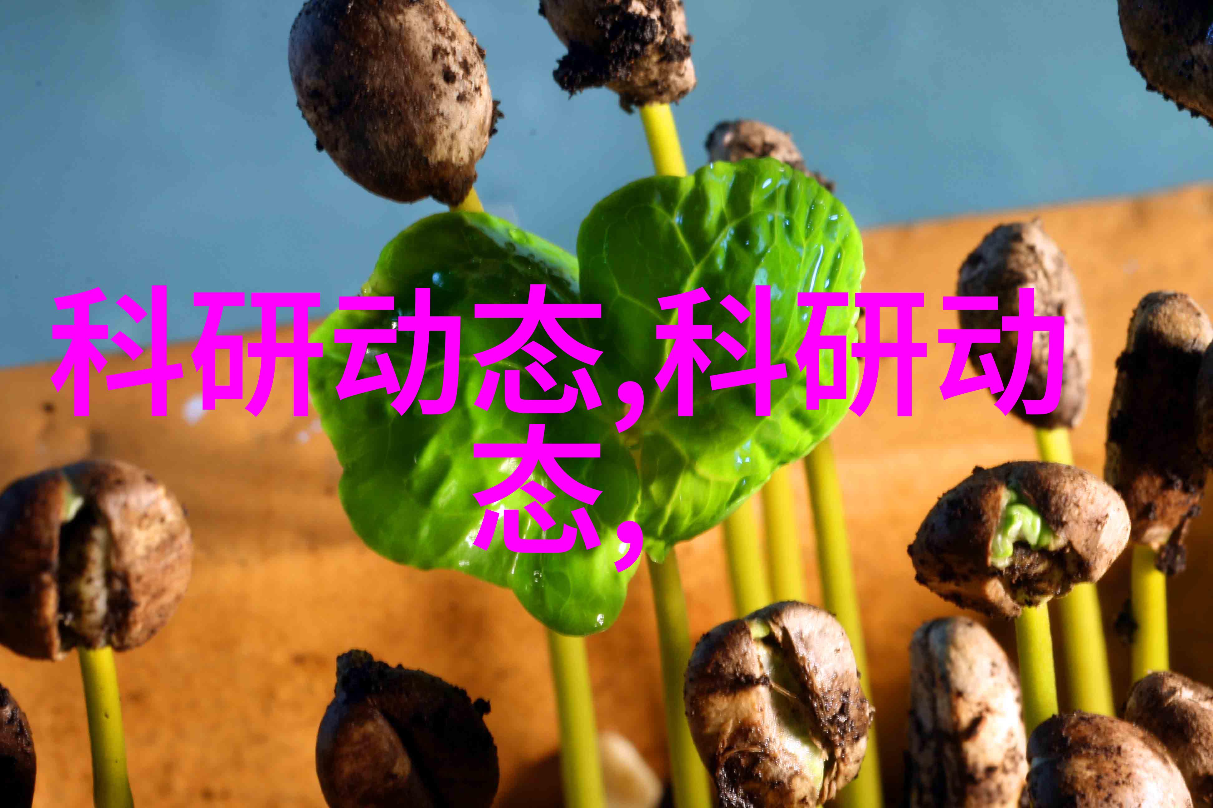 客厅装修效果图大全2020新款卫浴空间装修真的只需要半天时间探索防潮耐用且安装快速的整体卫浴解决方案