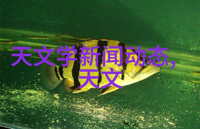 学富五车揭秘全球最佳财经学院的秘密武器