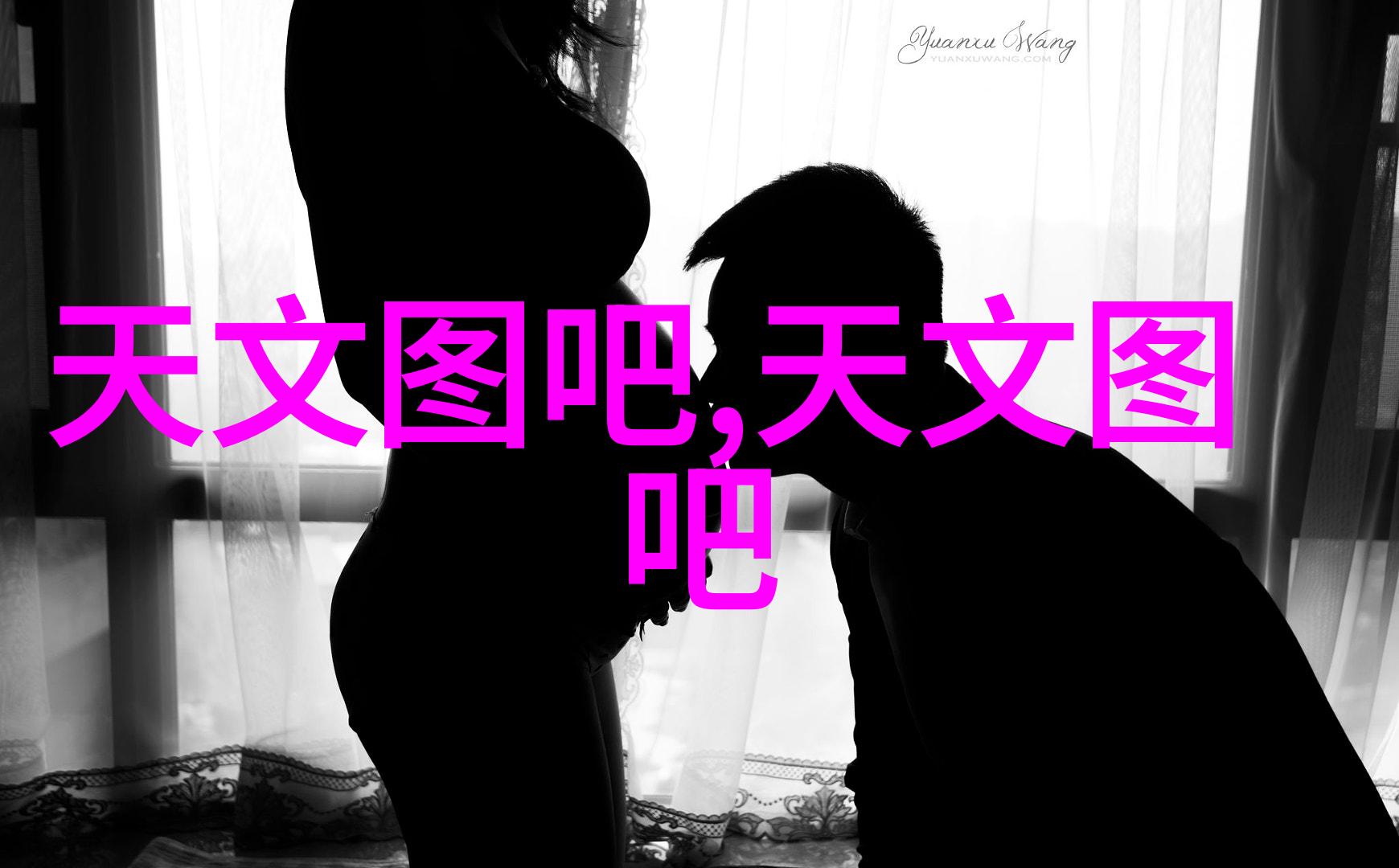 包衣机械-包衣技术及其在现代农业生产中的应用