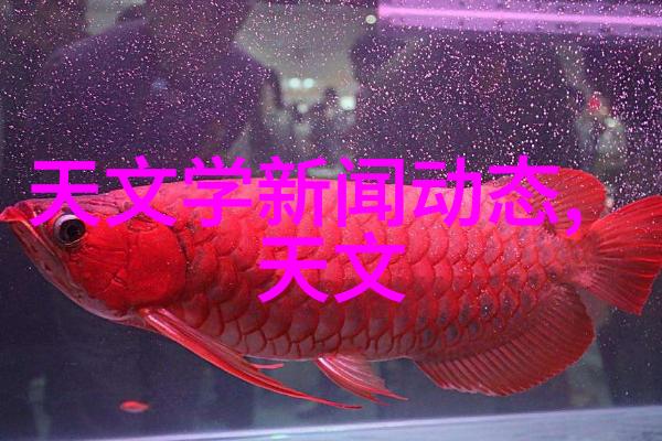 家庭用水质量评估与改进策略研究