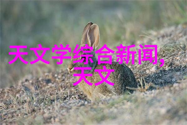 春暖花开探索性价比高的家居装饰品选购技巧