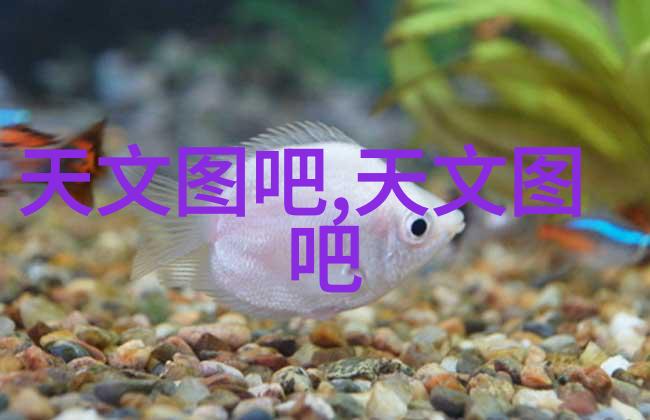 可以用非贵金属催化剂替代传统的金或铂基催化剂吗