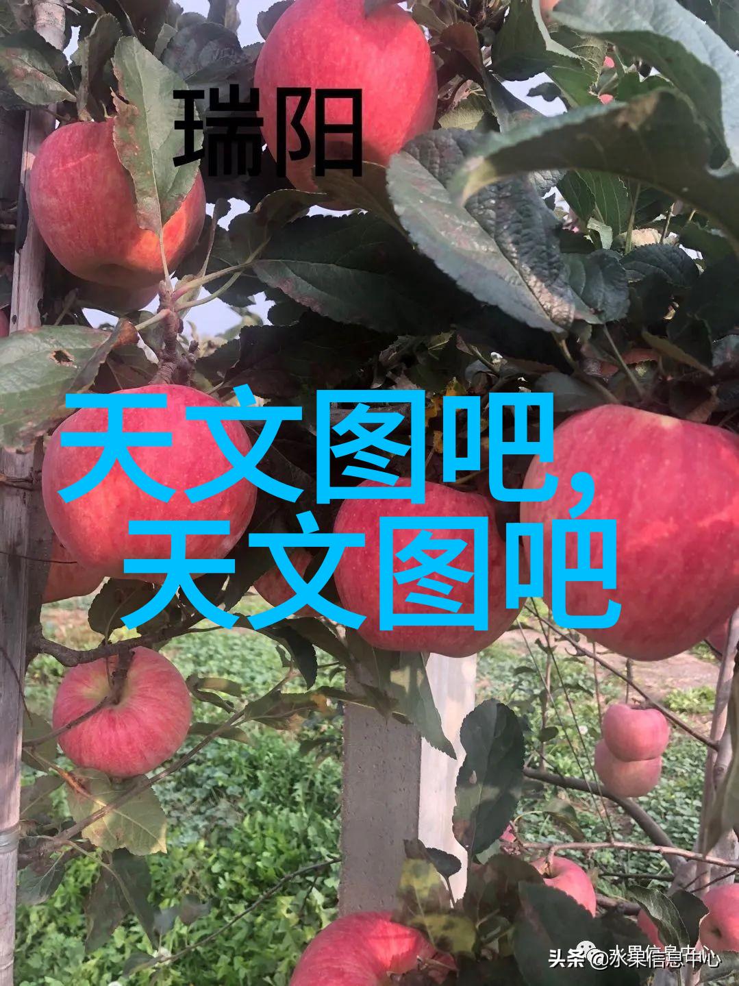 扇贝大餐一款教你如何轻松抓取的应用