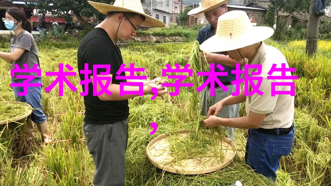 芯片之谜揭秘微妙的电子世界