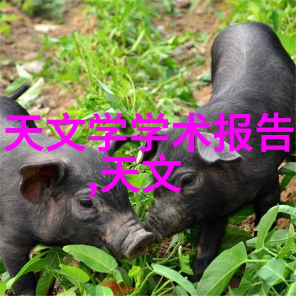 清澈与浑浊水质检测的阴暗面