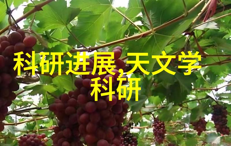 生活点滴我是如何在se999se.com上找到了我的小确幸的