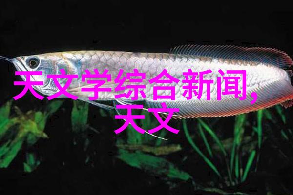 星辰编年史揭秘极品星座的神秘力量
