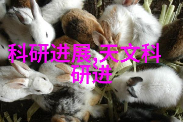 高效净化的水源纯化水制水机组的运作原理与应用