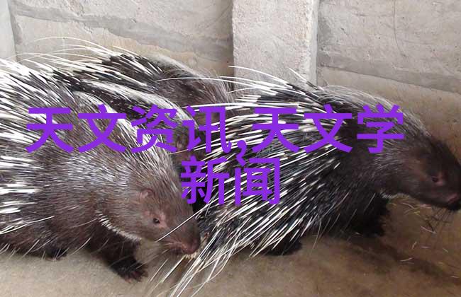 水分探测滴定器的神奇之旅