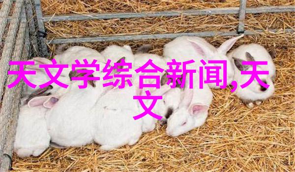固体药品检测-精确分析保障药物安全的科学方法
