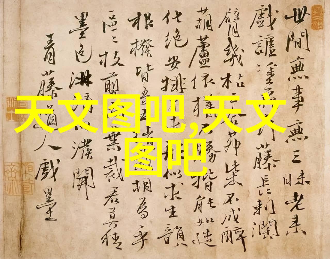 高效筛选机器精准分拣新纪元