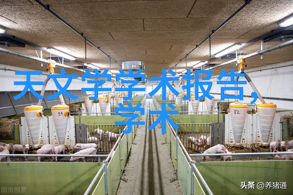 爱情与飞升-翱翔梦想探索想飞升就谈恋爱背后的哲思