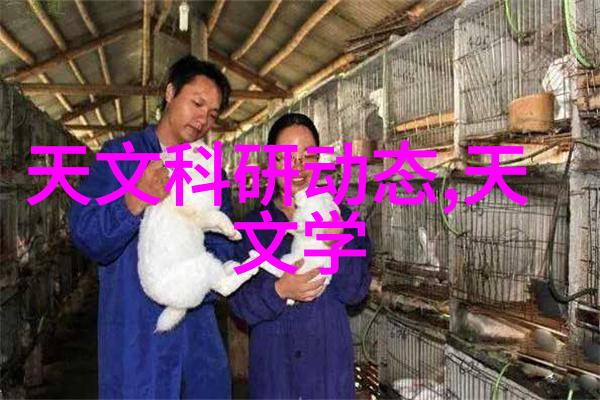 固定床反应器工艺流程我的化学实验室的小秘密
