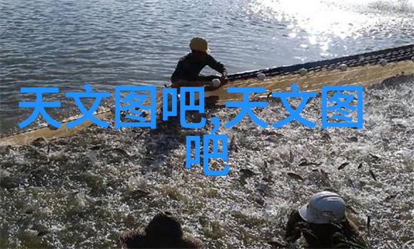 输送机设备-自动化物料搬运系统的未来趋势与应用实践