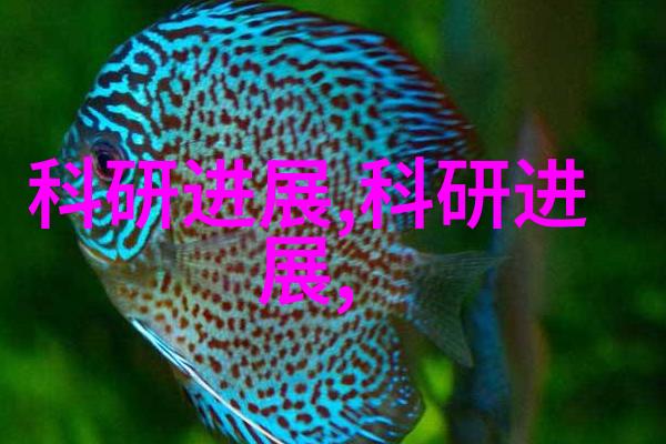净制之道纯净工艺与食品卫生的双重追求