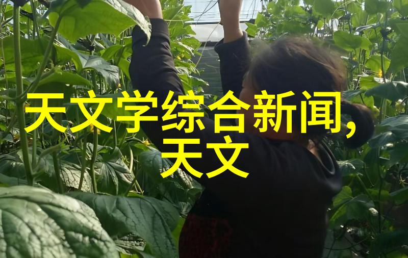 高效干燥技术真空冷冻干燥设备的应用与优势