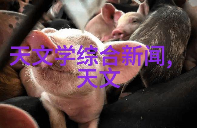 真空冷冻干燥技术保鲜效率的新纪元