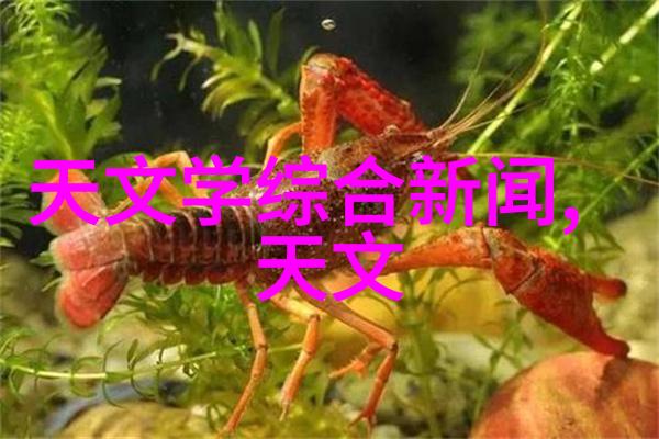 机械心脏与细微梦想胶体磨的奇幻篇