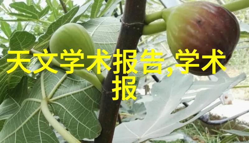 化工设备机械基础新时代的工业智造手册